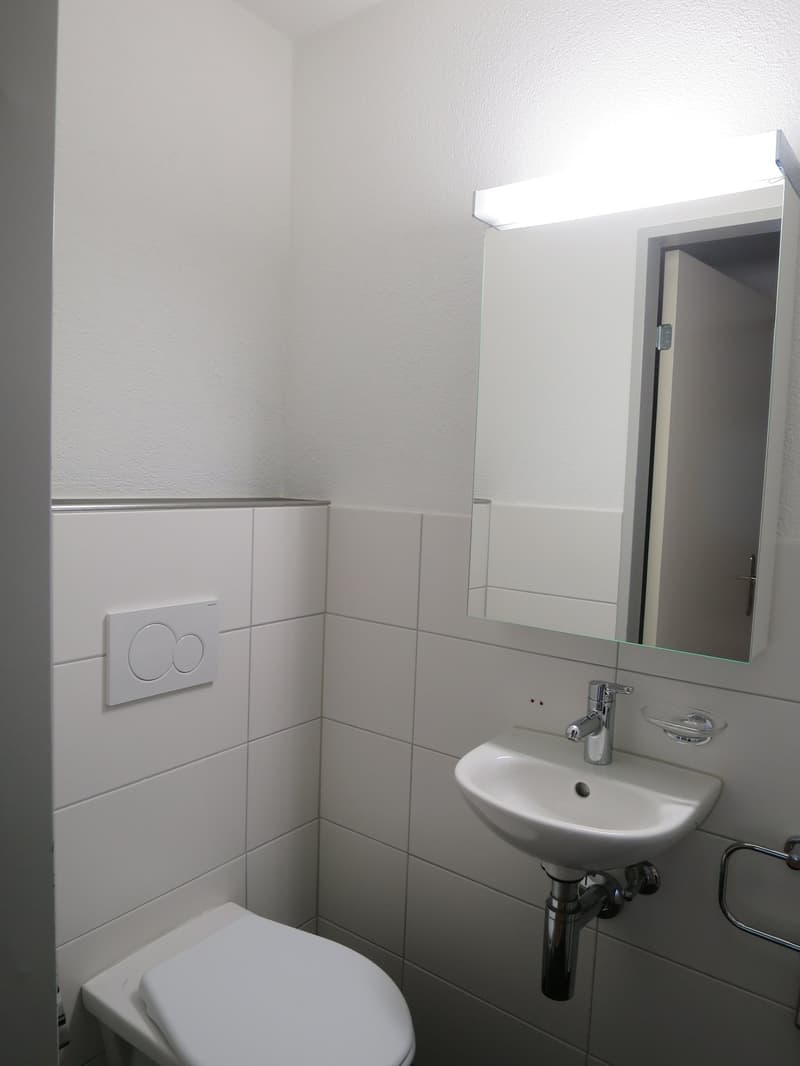 *** beautiful 3.5 room apartment with spacious seating area for rent *** (11)