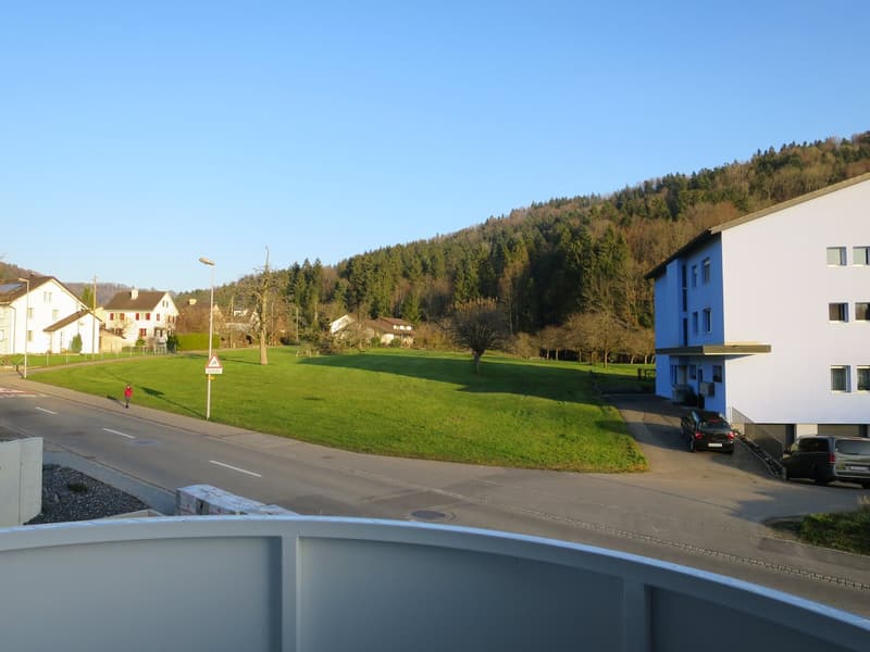 *** 2.5 Zimmerwohnungen (1.OG) im schönen Turbenthal *** (11)