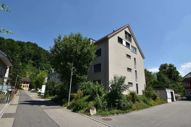 Grosszügige und lichtdurchflutete Maisonette-Wohnung mit Balkon im Eigentumsstandart (1)
