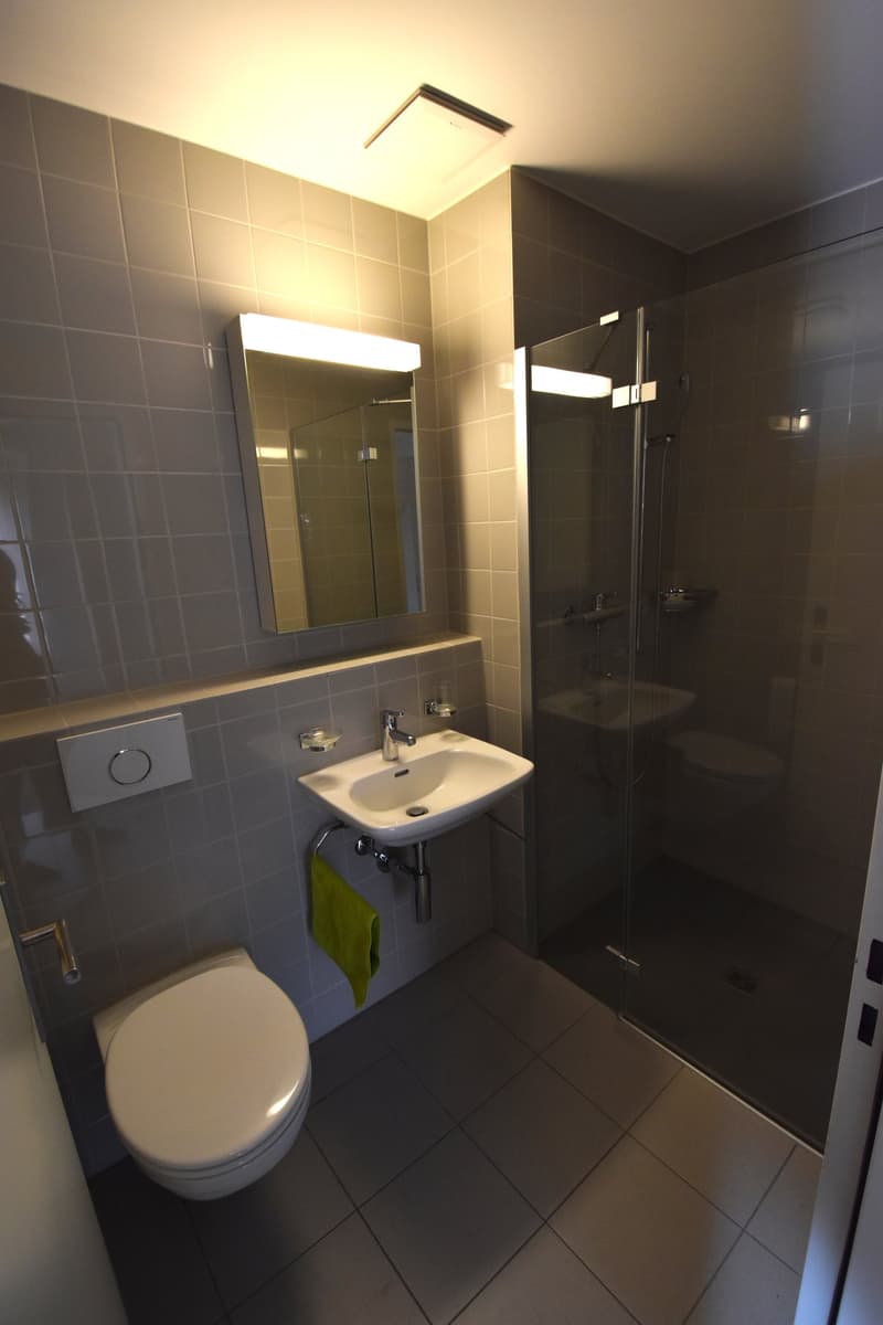 Grosszügige und lichtdurchflutete Maisonette-Wohnung mit Balkon im Eigentumsstandart (15)