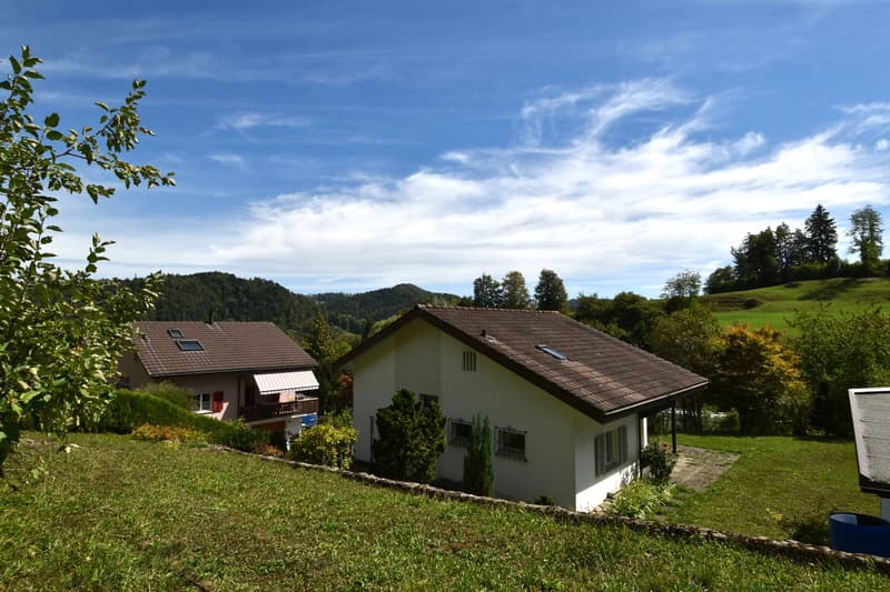 Einfamilienhaus mit herrlichem Grundstück und Ausbaupotenzial (3)