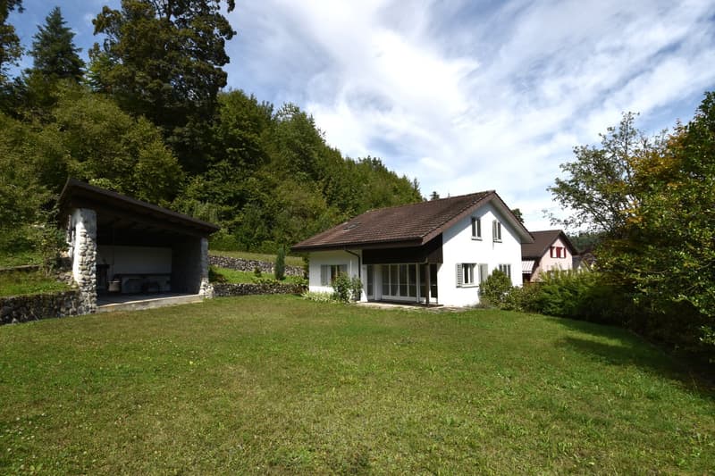 Einfamilienhaus mit herrlichem Grundstück und Ausbaupotenzial (1)