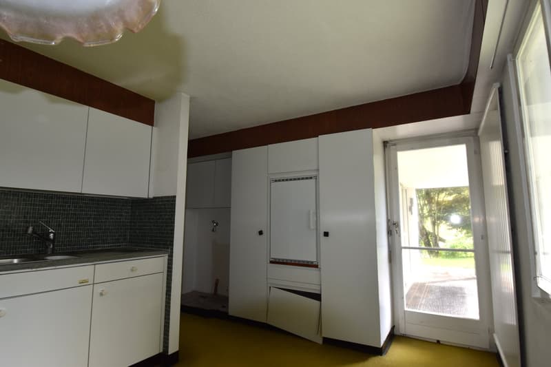 Einfamilienhaus mit herrlichem Grundstück und Ausbaupotenzial (13)