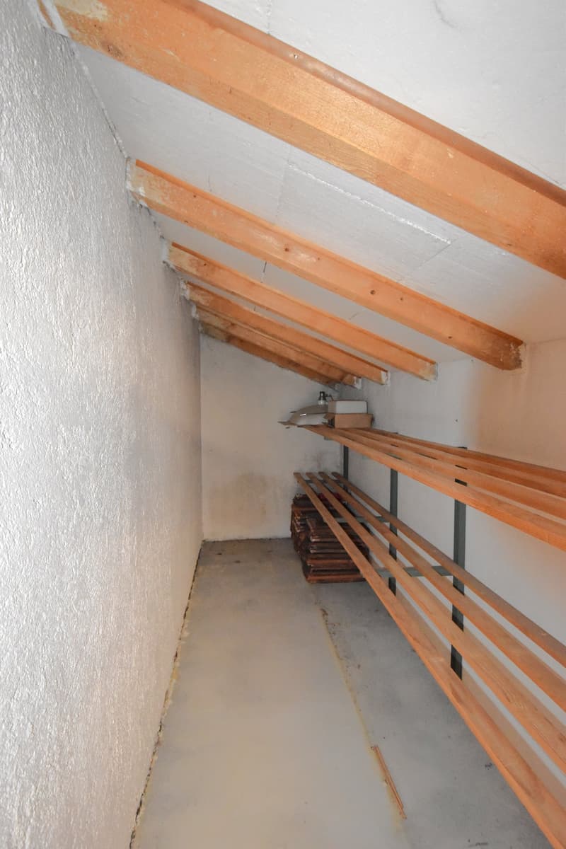 Einfamilienhaus mit herrlichem Grundstück und Ausbaupotenzial (22)