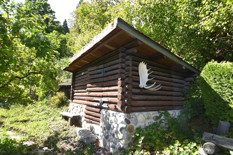 Einfamilienhaus mit herrlichem Grundstück und Ausbaupotenzial (7)