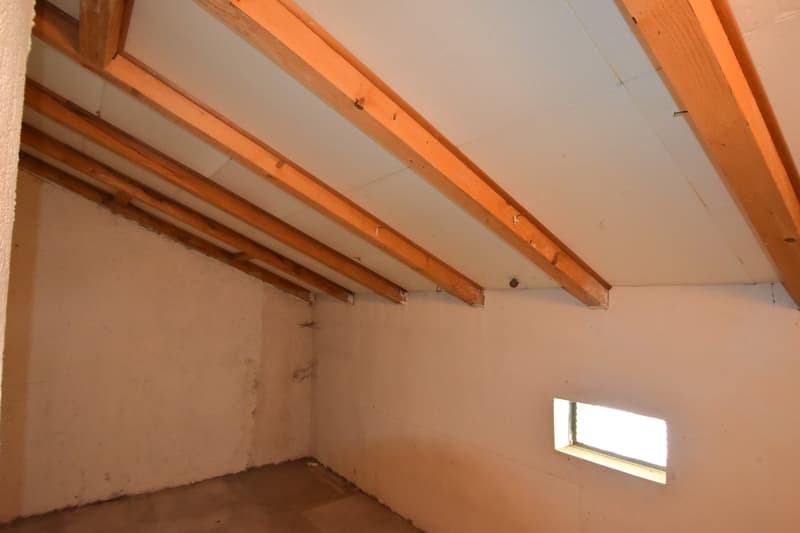 Einfamilienhaus mit herrlichem Grundstück und Ausbaupotenzial (25)