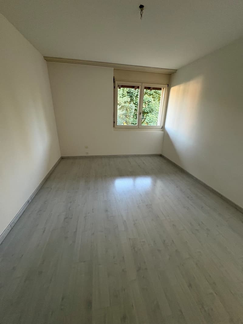 ***Helle 4.5-Zimmer-Wohnung mit Balkon*** (17)