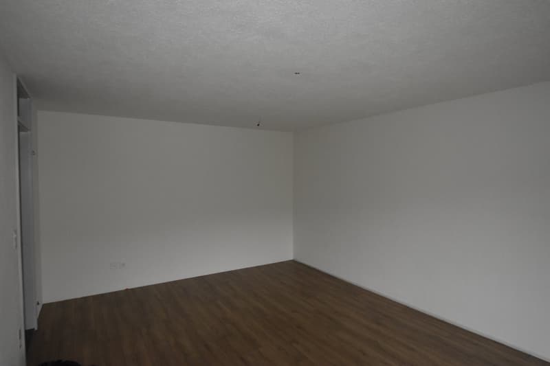 *** Charmante preiswerte 3-Zimmer-Wohnung im 2. OG an ruhiger Lage in Wila *** (2)