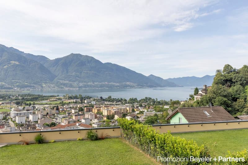 Wide green lawn with bushes, houses and lake, mountain view