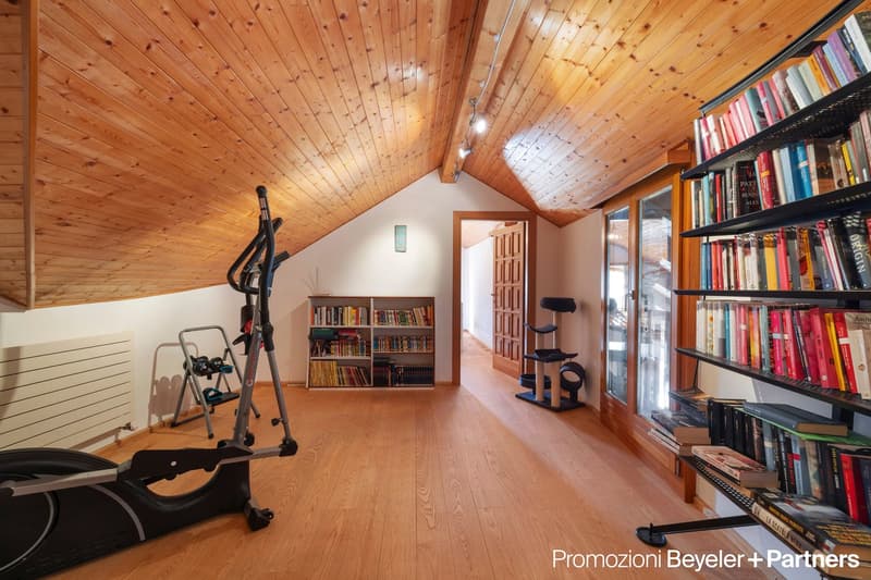wooden floor, wooden ceiling, elliptical trainer, weight training rack, cat climbing wall, shelves, books