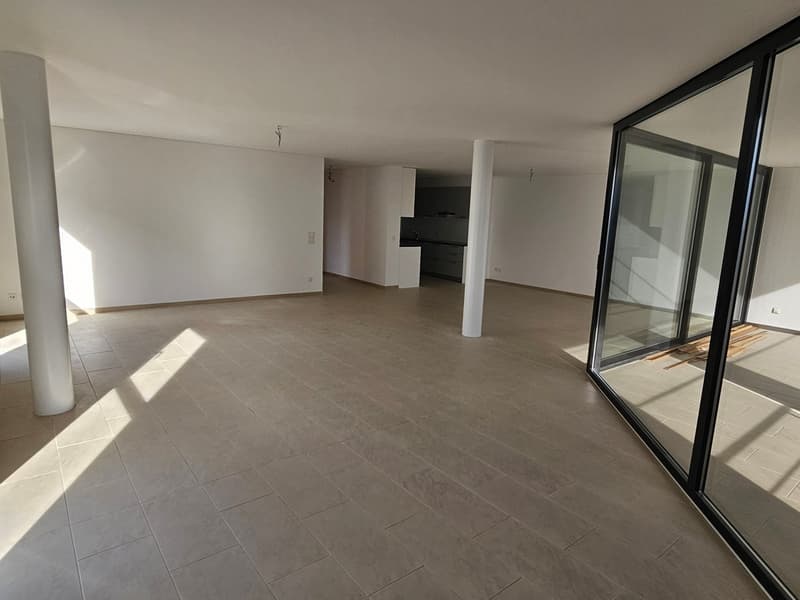Splendido appartamento 4.5 locali con vista sulle montagne a Solduno (9)