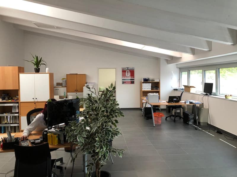 The image shows an open office space with a tiled floor, white walls, and exposed ceiling beams. The room is furnished with various office equipment and furniture, including desks, chairs, shelves, and a large potted plant. There is also a dishwasher visi