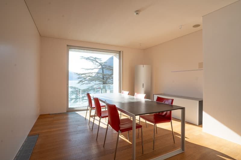 LUGANO CENTRO - Splendido ufficio fronte lago (13)