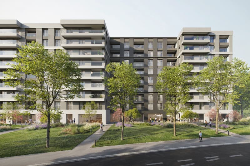 Belvedere Residence - New 3.5 rooms (5)