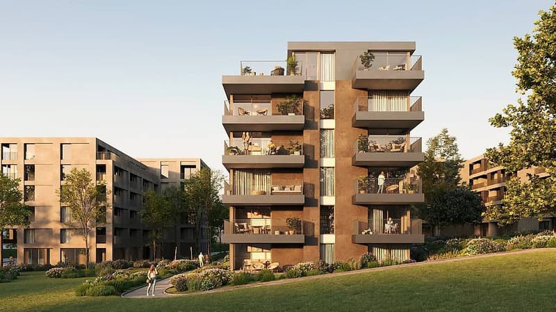 Splendido Attico di 4.5 locali con ampia terrazza (2)