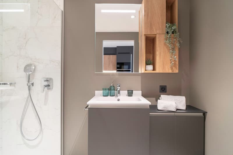 Modern bathroom with white sink, gray vanity cabinet, mirror with built-in storage, and shower with glass enclosure.