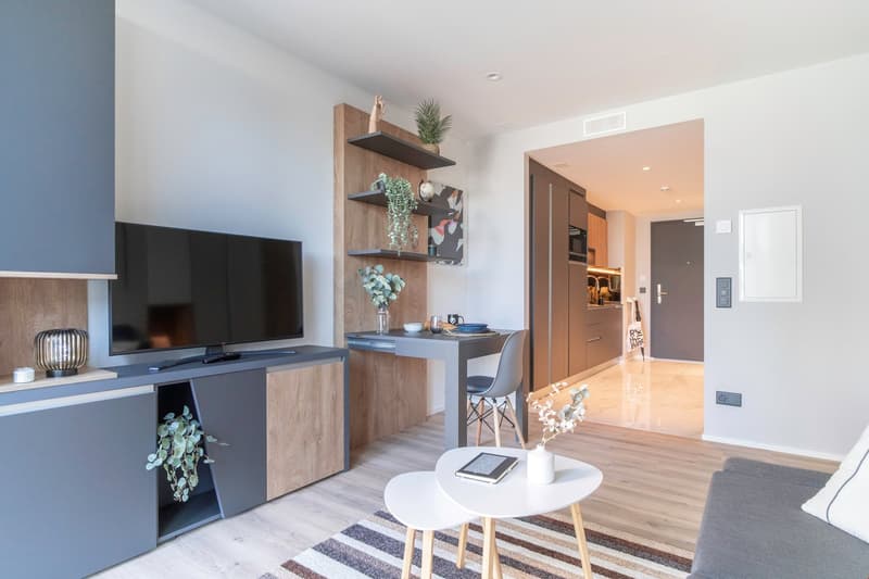 Modern living room with a large TV, wooden shelving unit, dining table, and hardwood flooring. The room has a minimalist and contemporary design with neutral colors and natural elements like plants.