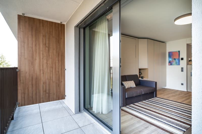 The image shows a modern apartment interior with a balcony or terrace. The room has a large sliding glass door leading to the balcony, with wooden wall panels and a striped rug in the living area. The apartment also features built-in cabinets and a couch.