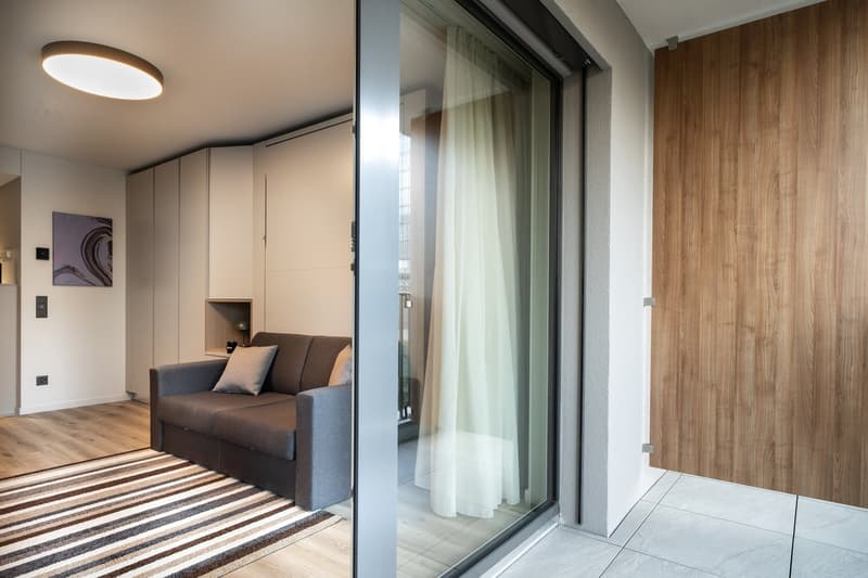Modern living room with gray sofa, wooden wall panels, large sliding glass door leading to a balcony or terrace, and a striped area rug on the floor.