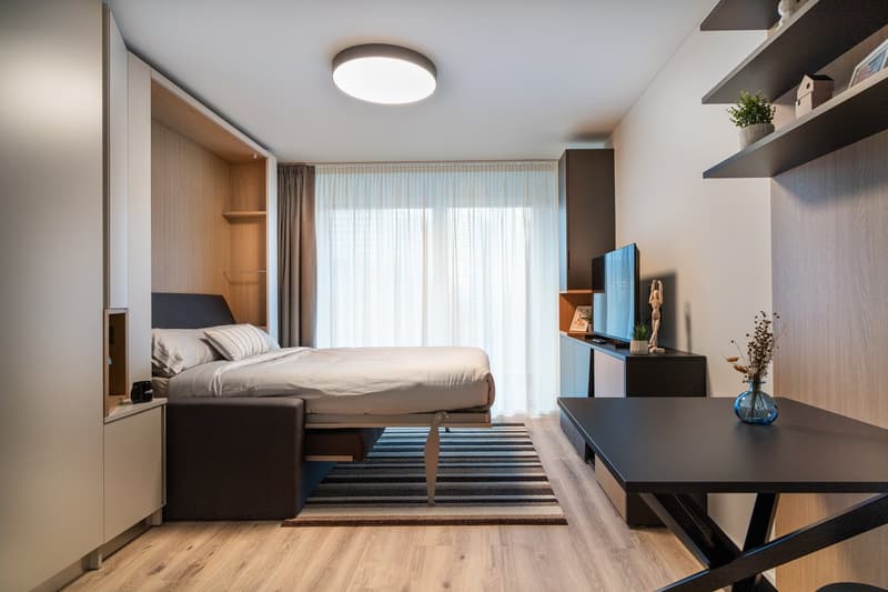 Spacious bedroom with large windows, hardwood flooring, built-in storage, and a modern TV stand. The room features a comfortable bed, striped rug, and decorative accents.