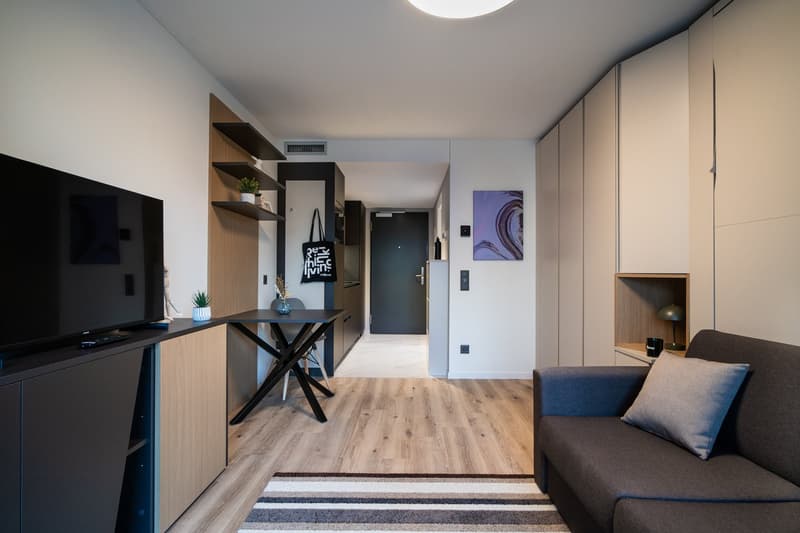 Compact studio apartment with open-plan layout. Hardwood-style flooring, built-in shelving and storage units, a small dining table, and a sofa. The kitchen area appears to have a dishwasher installed. The entrance door and a framed artwork on the wall are