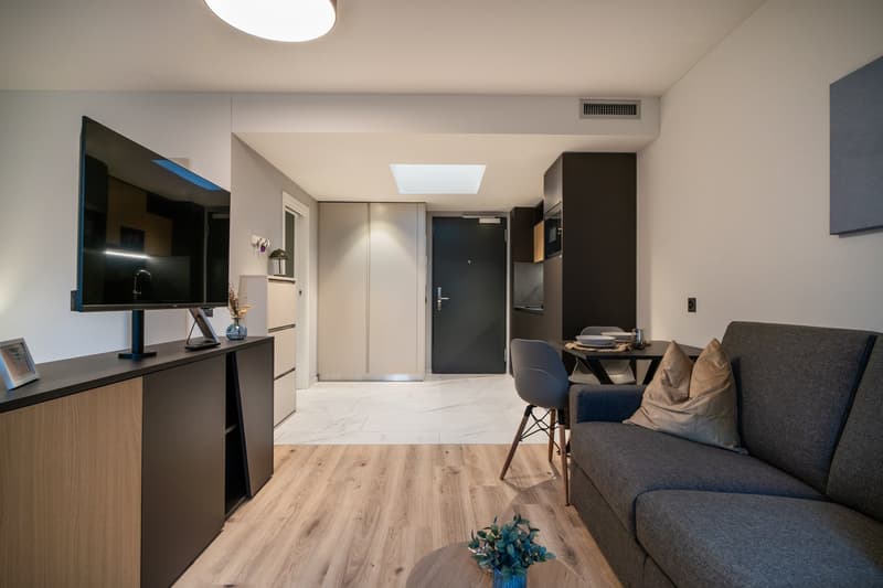 The image shows a modern and well-designed studio apartment. The space features a living area with a sofa, a dining table, and a TV stand. The kitchen area is integrated into the living space and includes a dishwasher. The apartment has a light and airy f