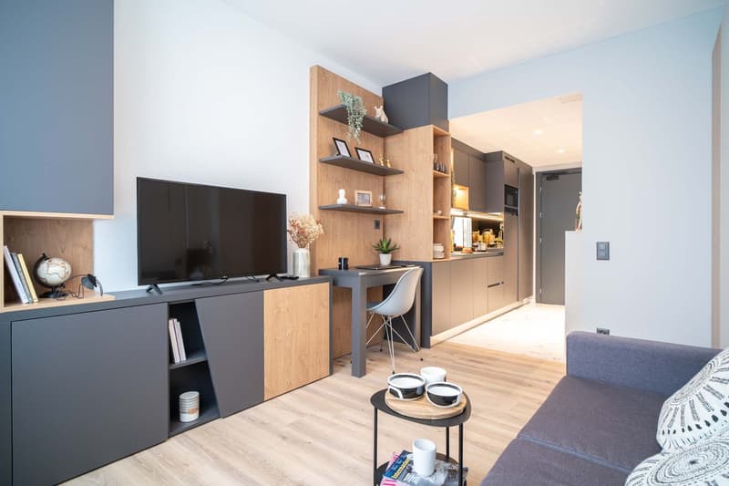 City Pop - Cosy Studio Apartments close to Zürich centre (2)