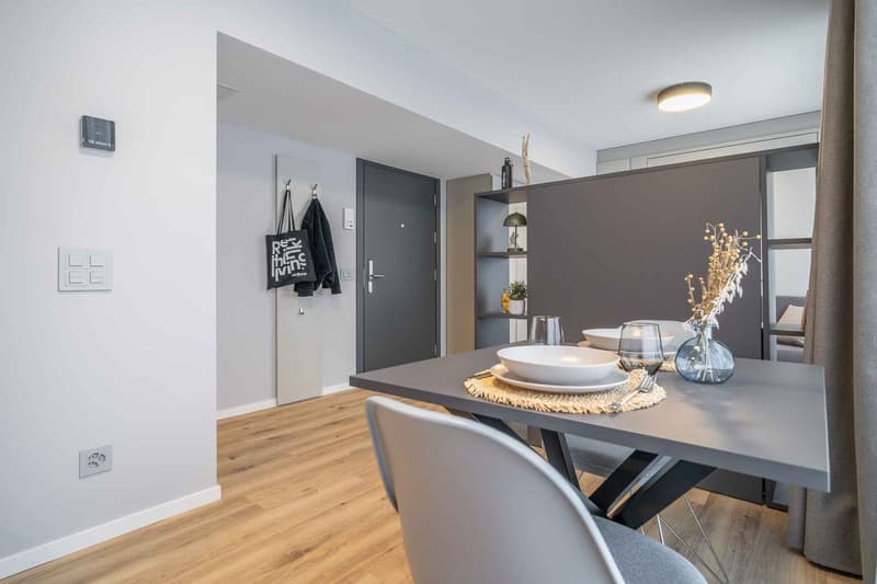 City Pop - Cosy Studio Apartments just next to HB Zürich (11)