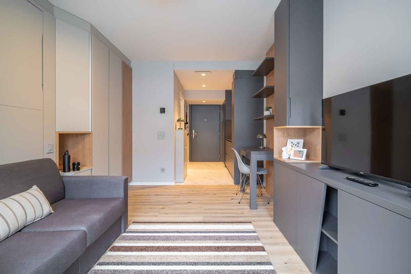 City Pop - Cosy Studio Apartments just next to HB Zürich (6)