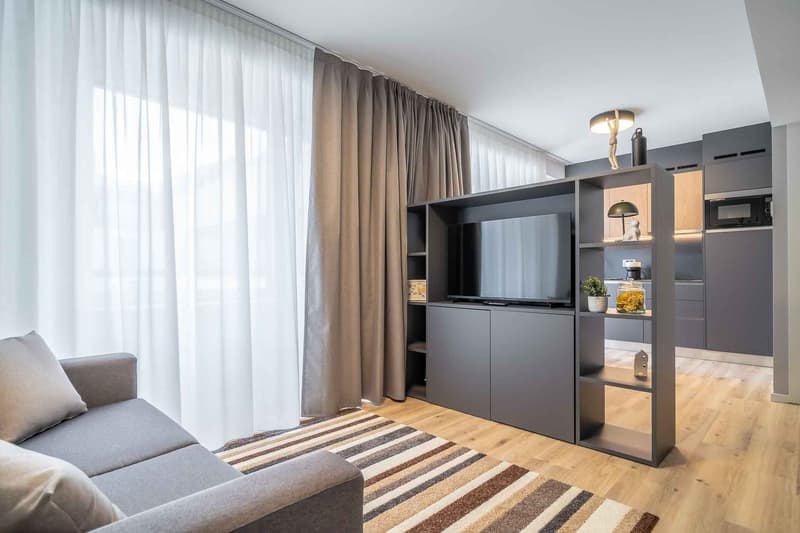 City Pop - Cosy Studio Apartments just next to HB Zürich (8)