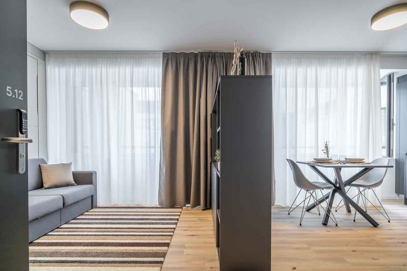 City Pop - Cosy Studio Apartments just next to HB Zürich (7)