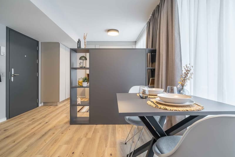 City Pop - Cosy Studio Apartments just next to HB Zürich (17)