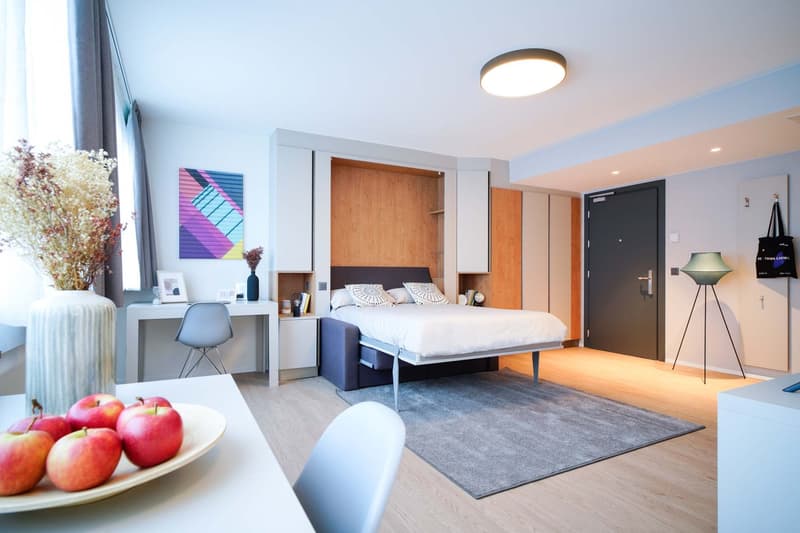 Spacious bedroom with a built-in wardrobe, desk, and a large bed. The room has hardwood flooring, a gray rug, and modern decor elements like the colorful artwork on the wall. There is also a kitchenette area with a dishwasher visible.