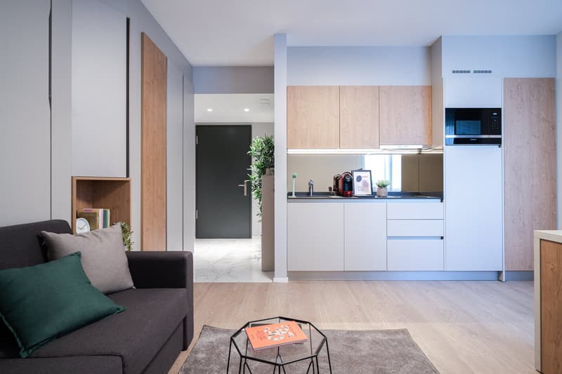 Open-concept living room and kitchen with modern, minimalist design. The living room features a dark gray sofa and a small coffee table. The kitchen area has light wood cabinets, a built-in dishwasher, and a microwave. The space has a clean, uncluttered a