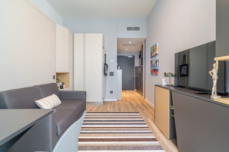 City Pop - Cosy Studio Apartments Baden, AG (8)