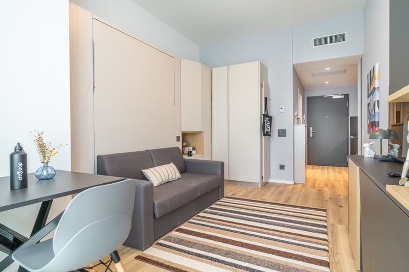 The image shows a modern studio apartment with an open floor plan. The main living area features a gray sofa, a striped area rug, and a dining table with a chair. The kitchen area is visible, with a built-in dishwasher. The apartment has white walls, hard