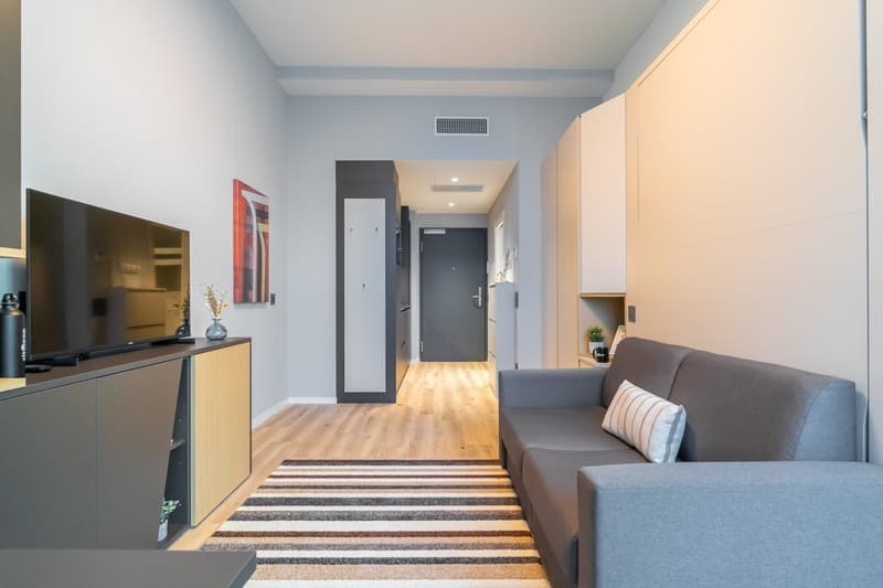 Compact studio apartment with hardwood flooring, gray sofa, TV stand, and a kitchenette with a dishwasher. The entrance hallway is visible leading to the main living space.