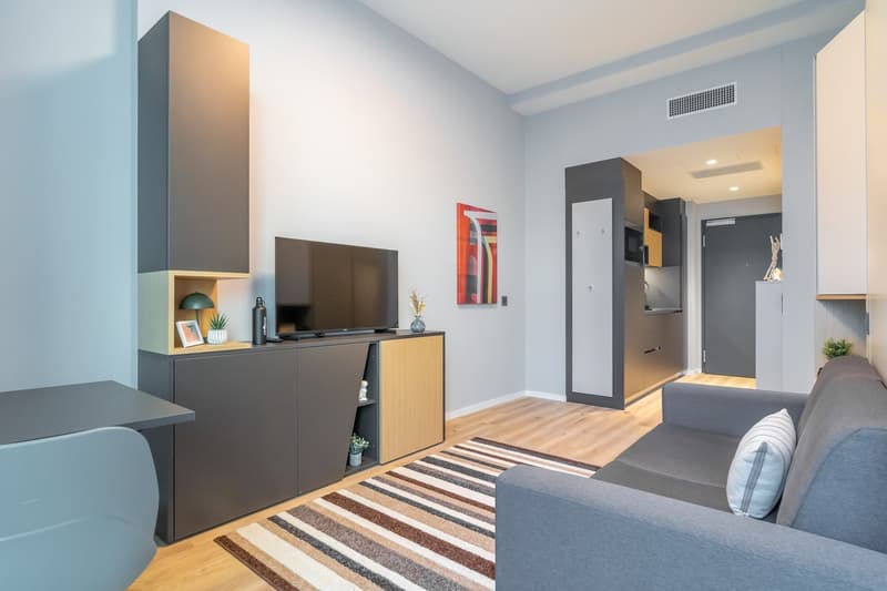 City Pop - Cosy Studio Apartments Baden, AG (1)