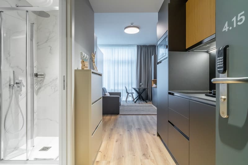 Compact studio apartment with open-plan layout, hardwood flooring, modern kitchen with dishwasher, living area with sofa and table, and bathroom with shower enclosure.