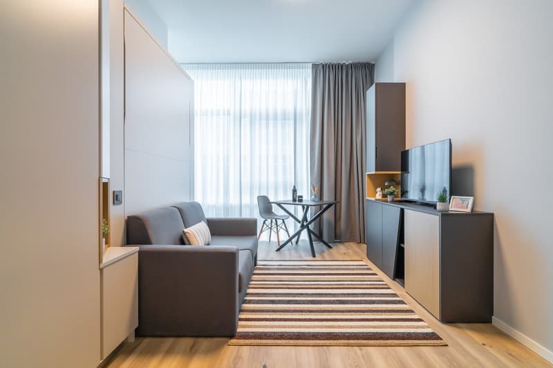 Modern living room with gray sofa, dining table, TV stand, and striped rug. Large windows with curtains provide natural light.