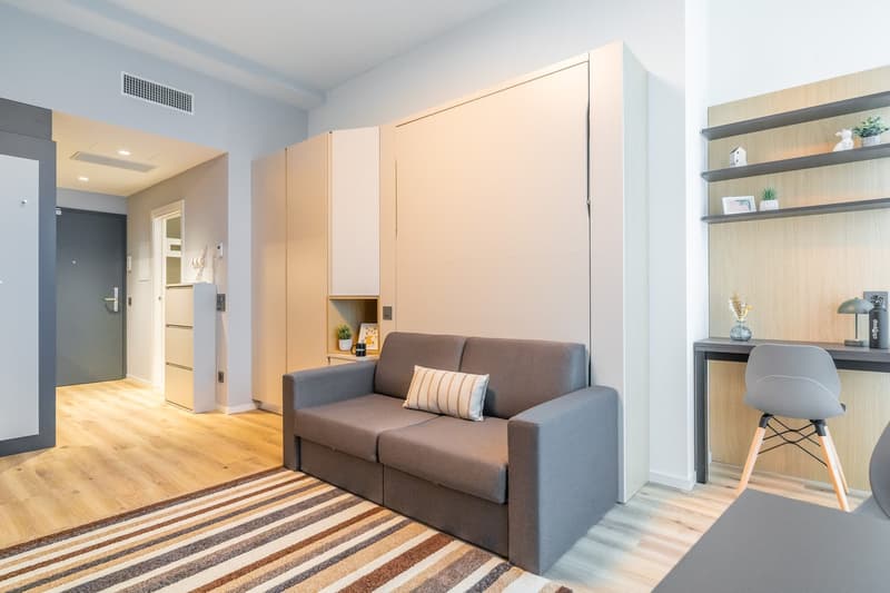 The image shows a modern and compact studio apartment. The main living area features a gray sofa, a wooden desk with a chair, and built-in storage cabinets along the wall. The apartment has a hardwood floor and a striped area rug. There is a small kitchen