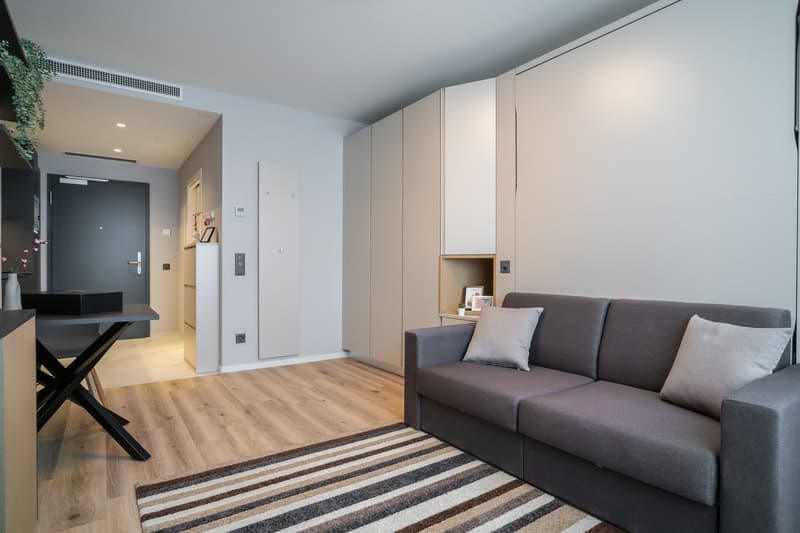 Modern studio apartment with hardwood flooring, gray sofa, built-in storage cabinets, and a kitchenette with a dishwasher. The room has a minimalist and clean design aesthetic.