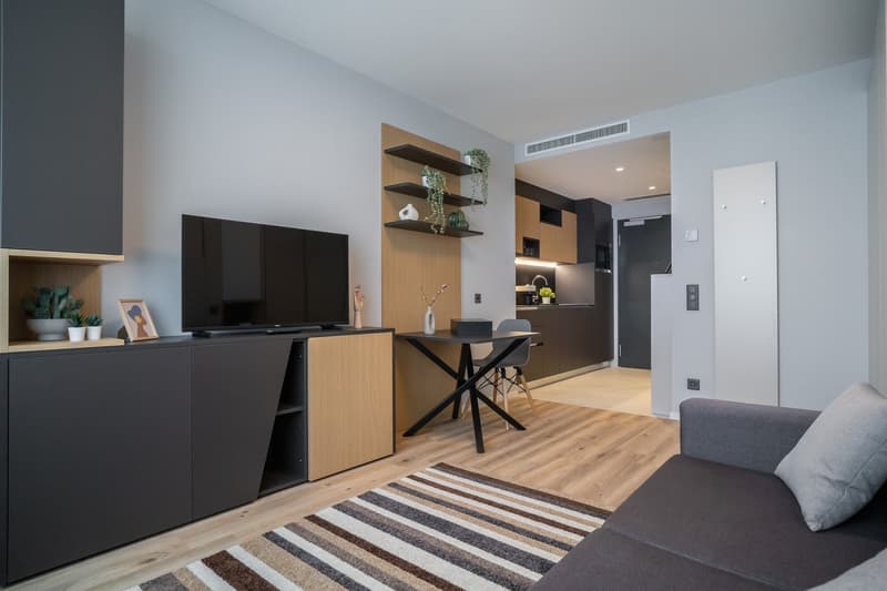 City Pop - Cosy Studio Apartments in St. Gallen (6)