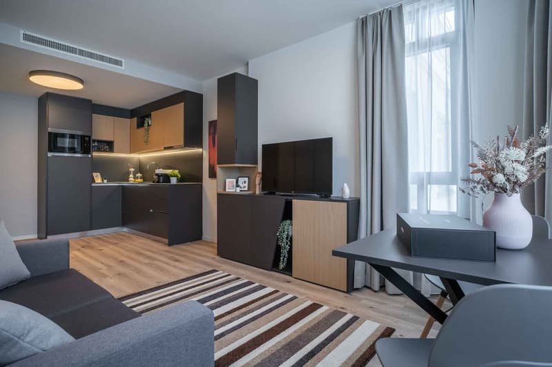 Open-plan studio apartment with modern kitchen, living area with TV and sofa, and large windows providing natural light. The apartment features dark-colored cabinets and appliances, as well as a striped rug and decorative vase on the table.