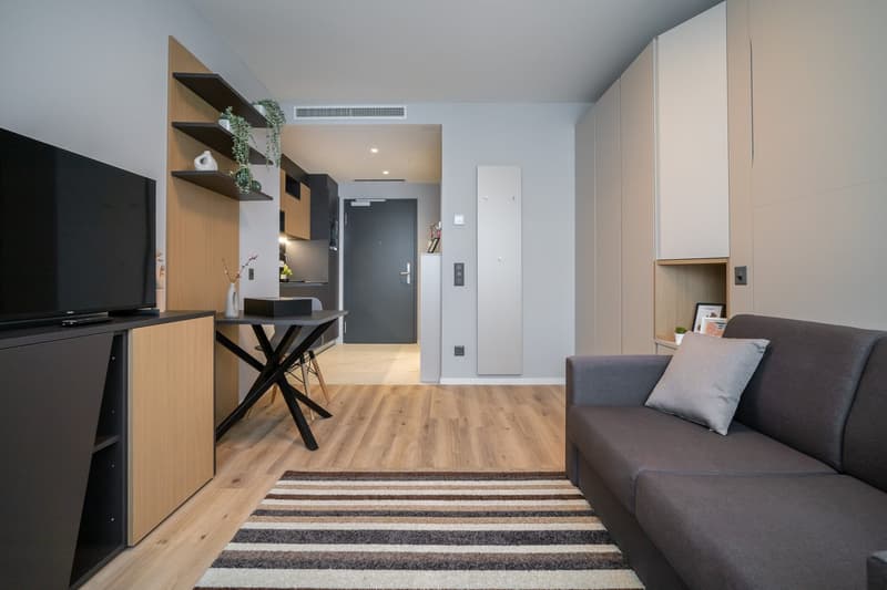 Modern studio apartment with open-plan layout. Hardwood flooring, gray sofa, TV stand with shelving, dining table, and kitchenette with dishwasher. Neutral color scheme with pops of greenery.