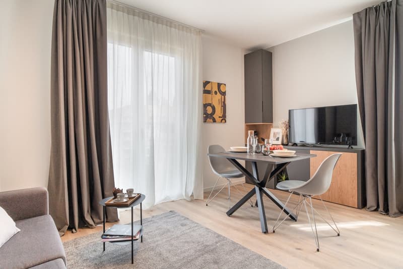 City Pop - Cosy Studio Apartments in the heart of Bern (7)