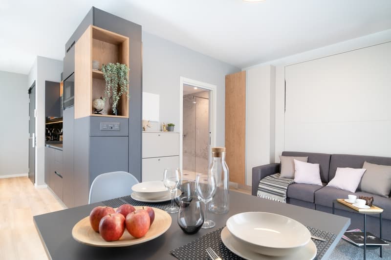 City Pop - Cosy Studio Apartments in the heart of Bern (2)