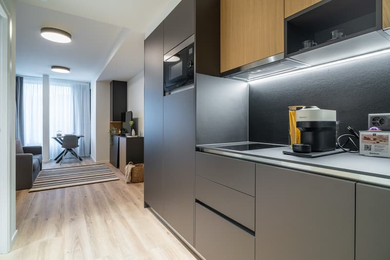 City Pop - Cosy Studio Apartments in KleinBasel (3)