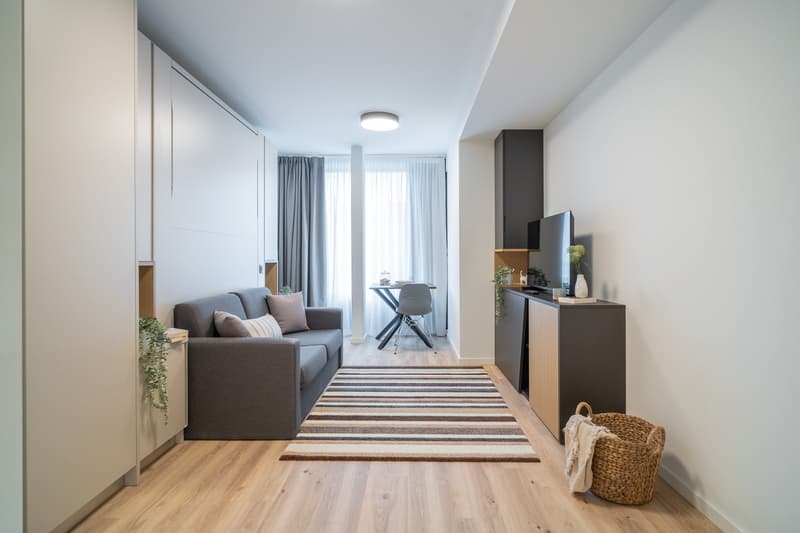 City Pop - Cosy Studio Apartments in KleinBasel (2)