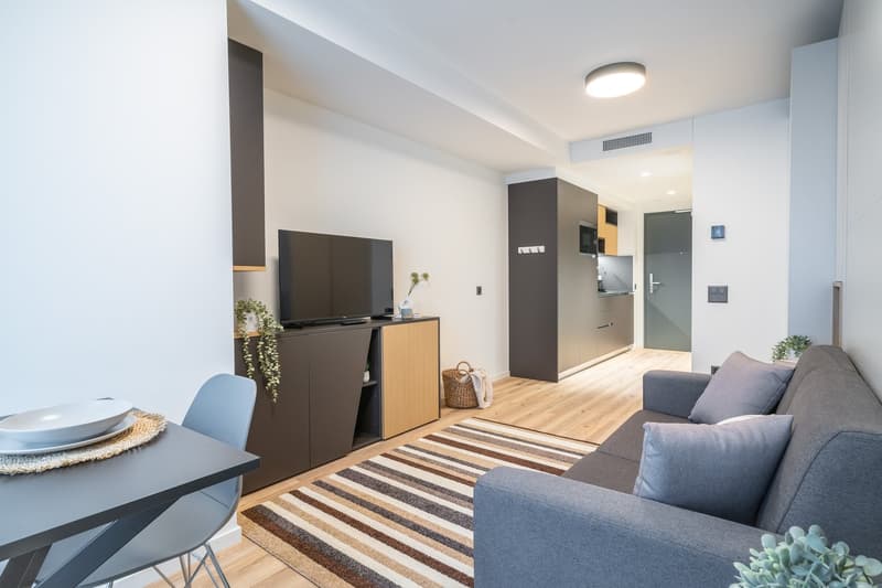 City Pop - Cosy Studio Apartments in KleinBasel (6)